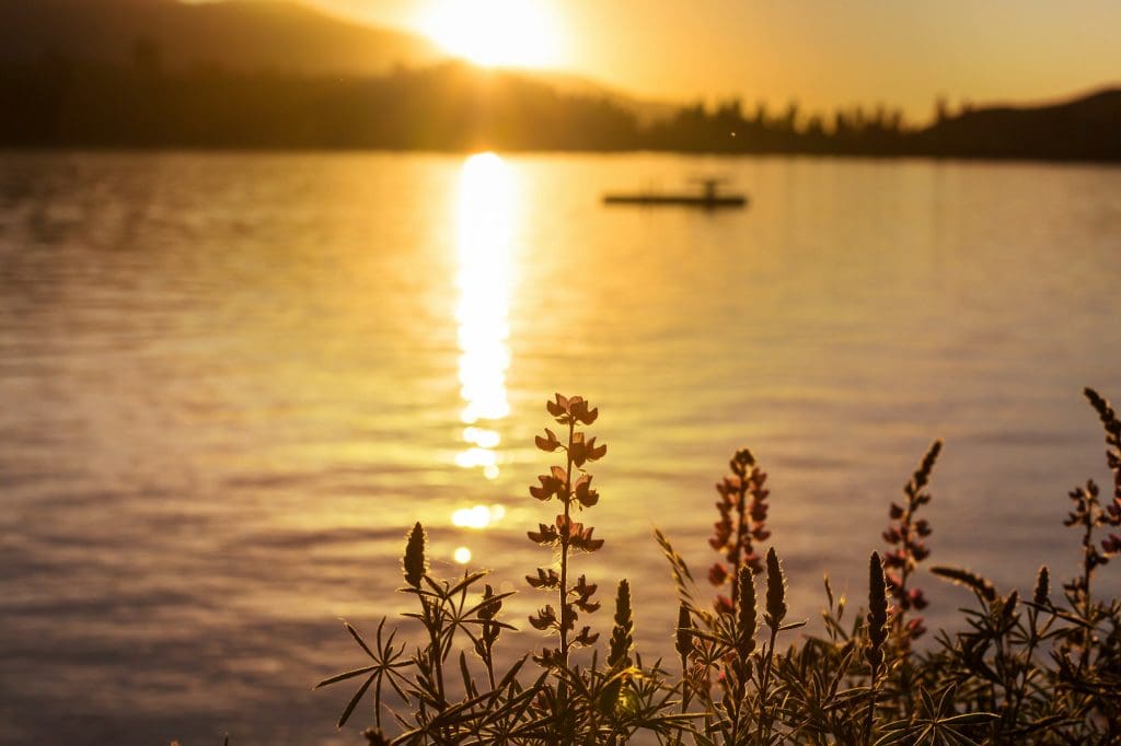 Lake on sunset